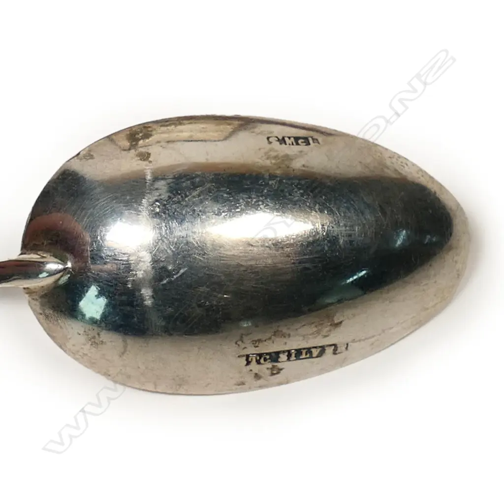 S. McLernon (Gisborne) greenstone silver teaspoon set in case, Image 1++